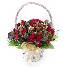 Christmas Arrangement 